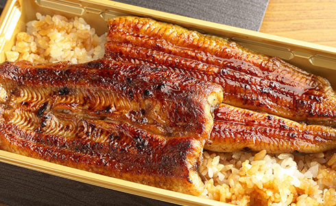 Eel Bento Box(Premium)