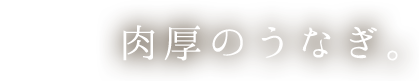 肉厚のうなぎ。